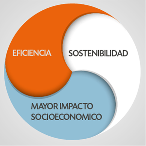Eficiencia económica y participación laboral en el gobierno de la empresa